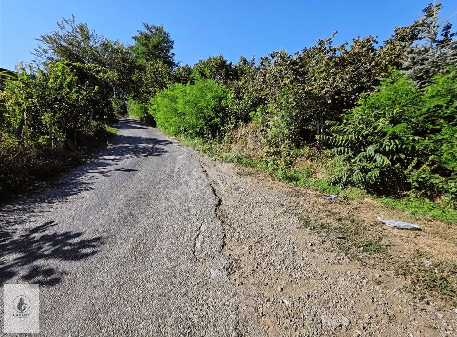 Şehre 20 Dakika Mesafede Doğan Köyde 3 Dönüm Düz Arazi Satılık