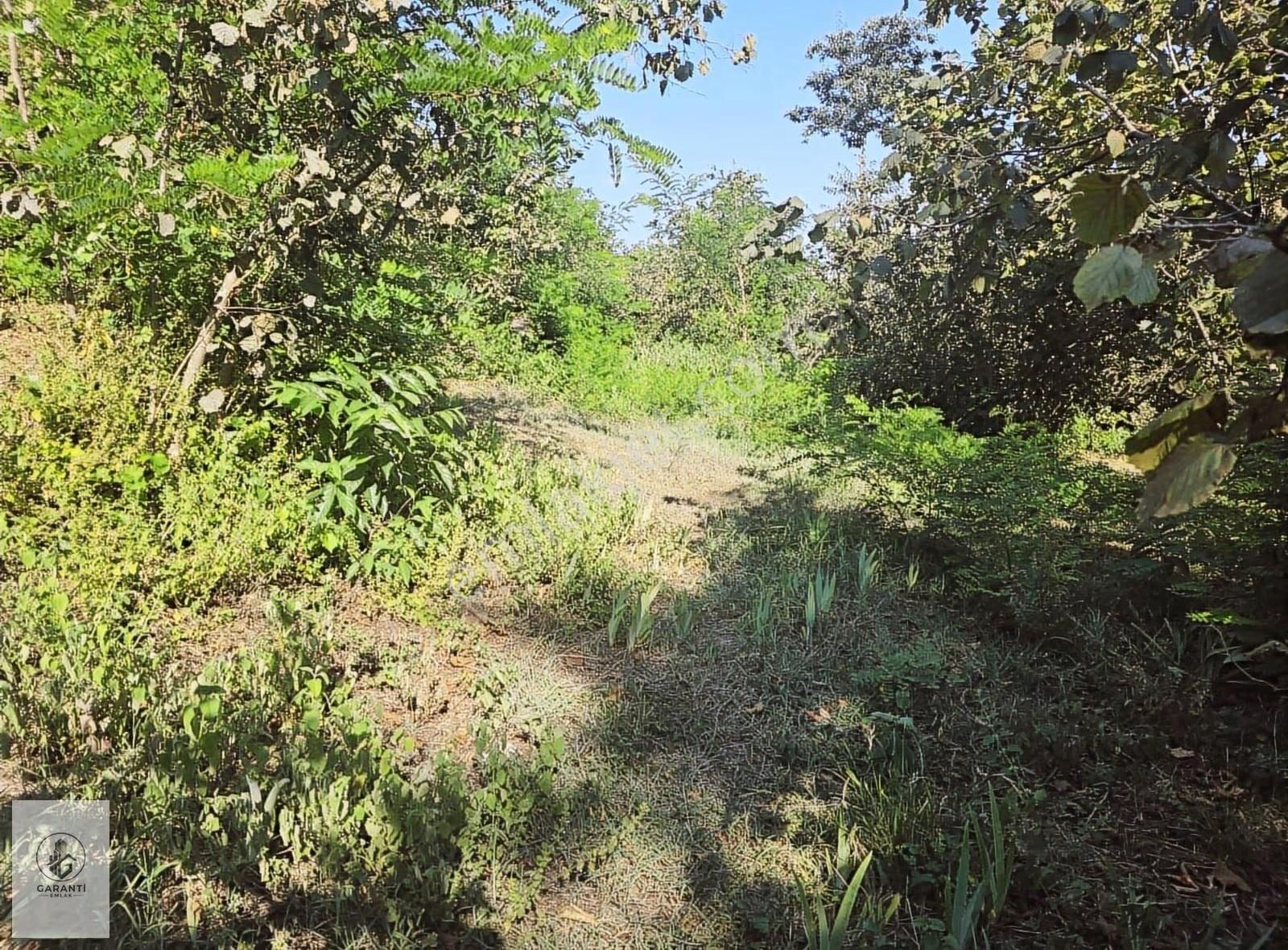 Şehre 20 Dakika Mesafede Doğan Köyde 3 Dönüm Düz Arazi Satılık - Görsel 9