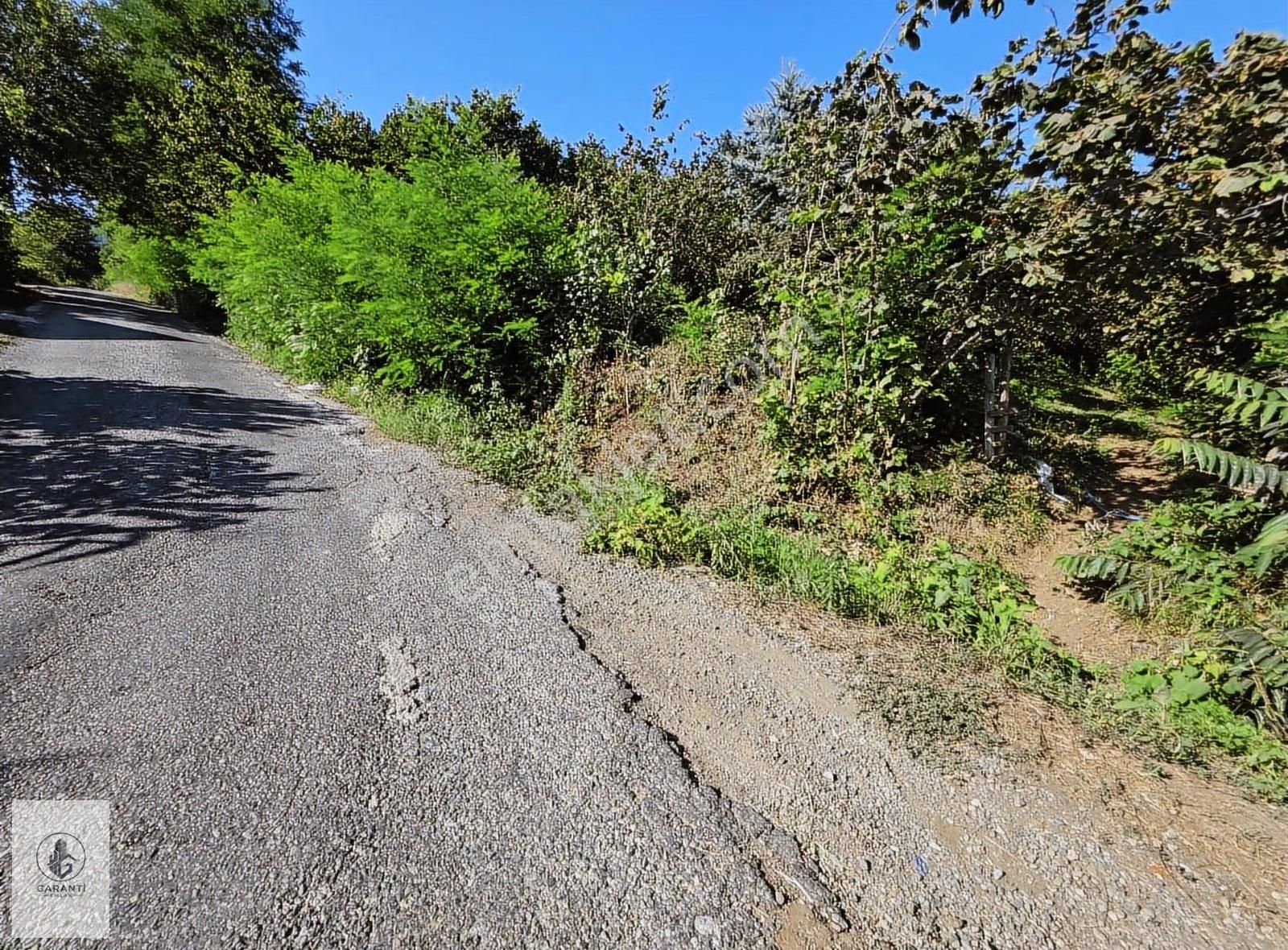 Şehre 20 Dakika Mesafede Doğan Köyde 3 Dönüm Düz Arazi Satılık - Görsel 15