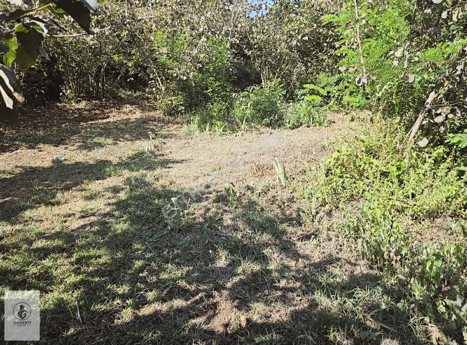 Şehre 20 Dakika Mesafede Doğan Köyde 3 Dönüm Düz Arazi Satılık - Görsel 12