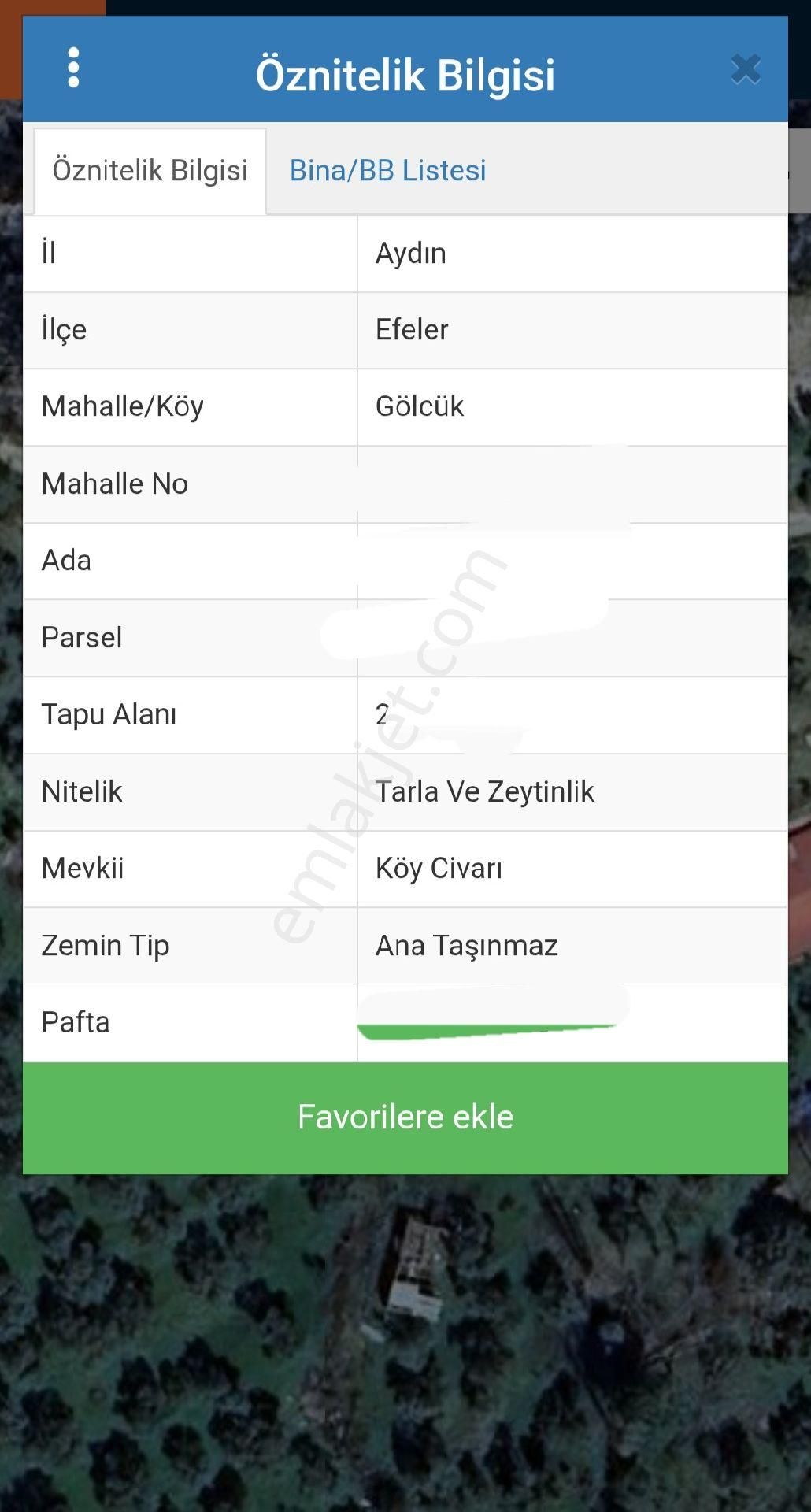Aydın Efeler Gölcük Te Acil Satılık Zeytinlik