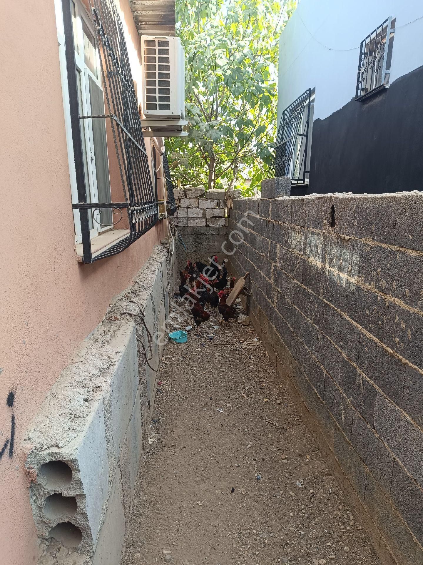 Bahçeli Müstakil Çatılı Ev - Görsel 4