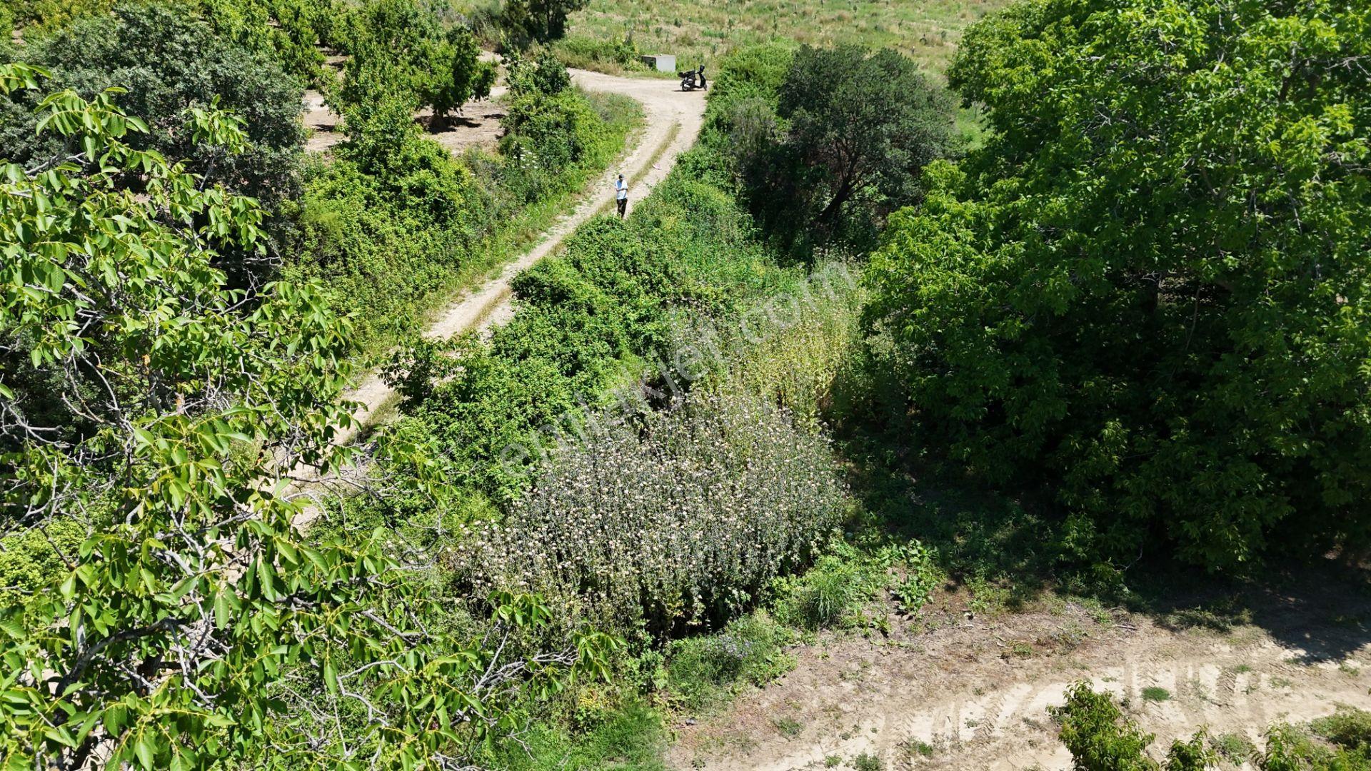 Lapseki Gökköy'de Umurbey Baraj Yolu Üzerinde Yatırımlık Tarla - Görsel 2