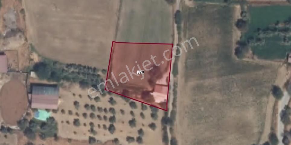 Aydın Efeler'de Tek Tapu Satılık Bahçe - Görsel 33