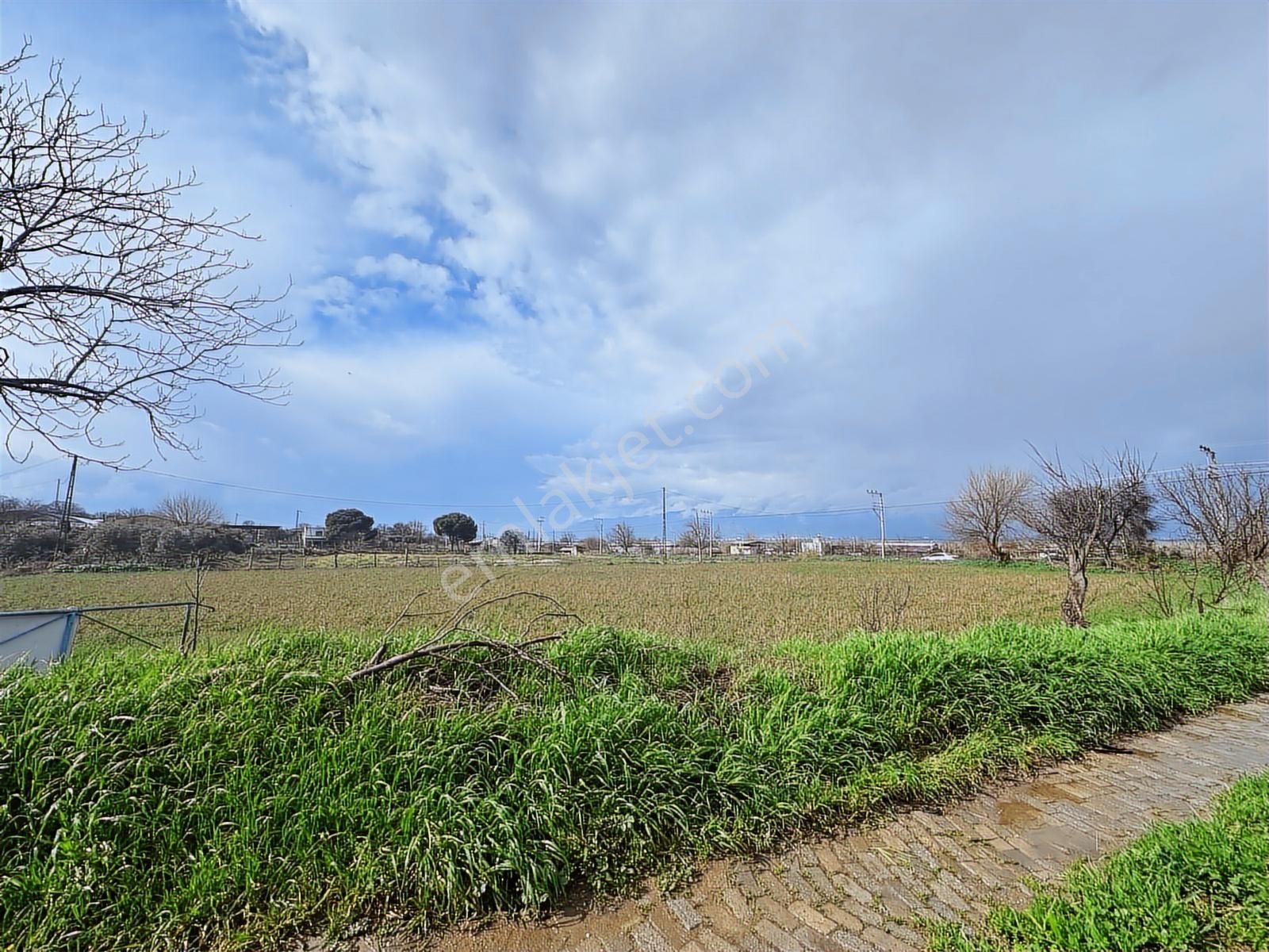 Aydın Efeler'de Tek Tapu Satılık Bahçe - Görsel 28