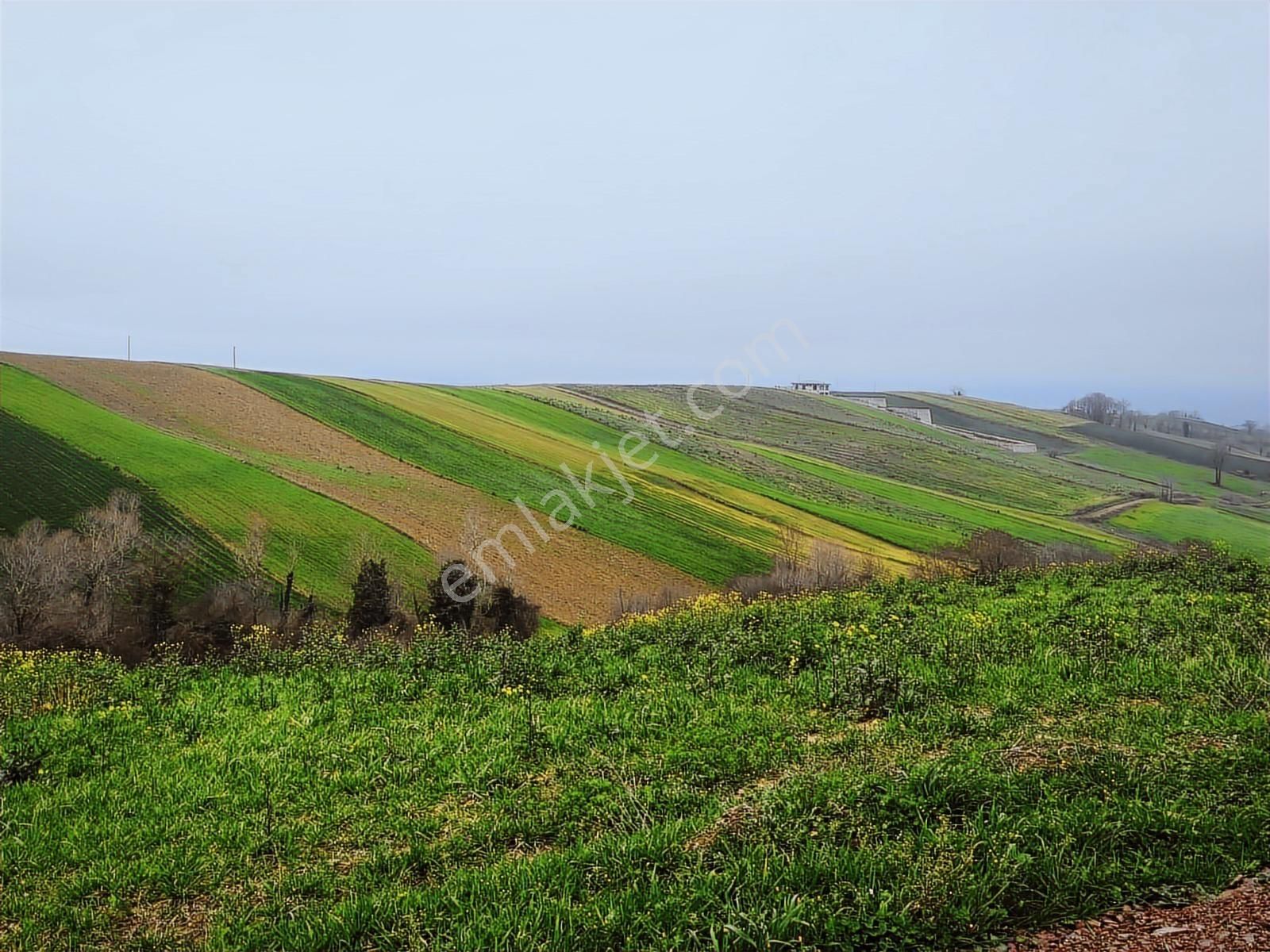 Kocaeli Derince Geredeli Satılık Yatırımlık Tarla - Görsel 29