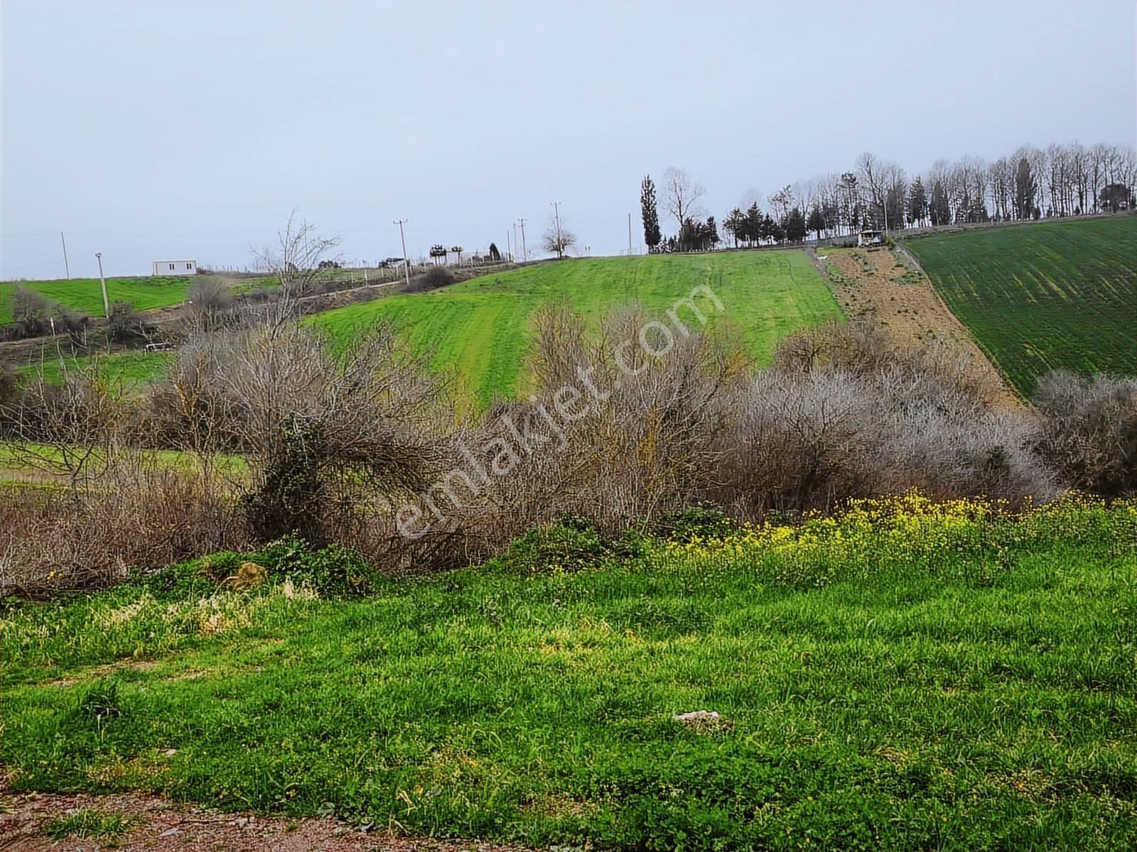 Kocaeli Derince Geredeli Satılık Yatırımlık Tarla - Görsel 23