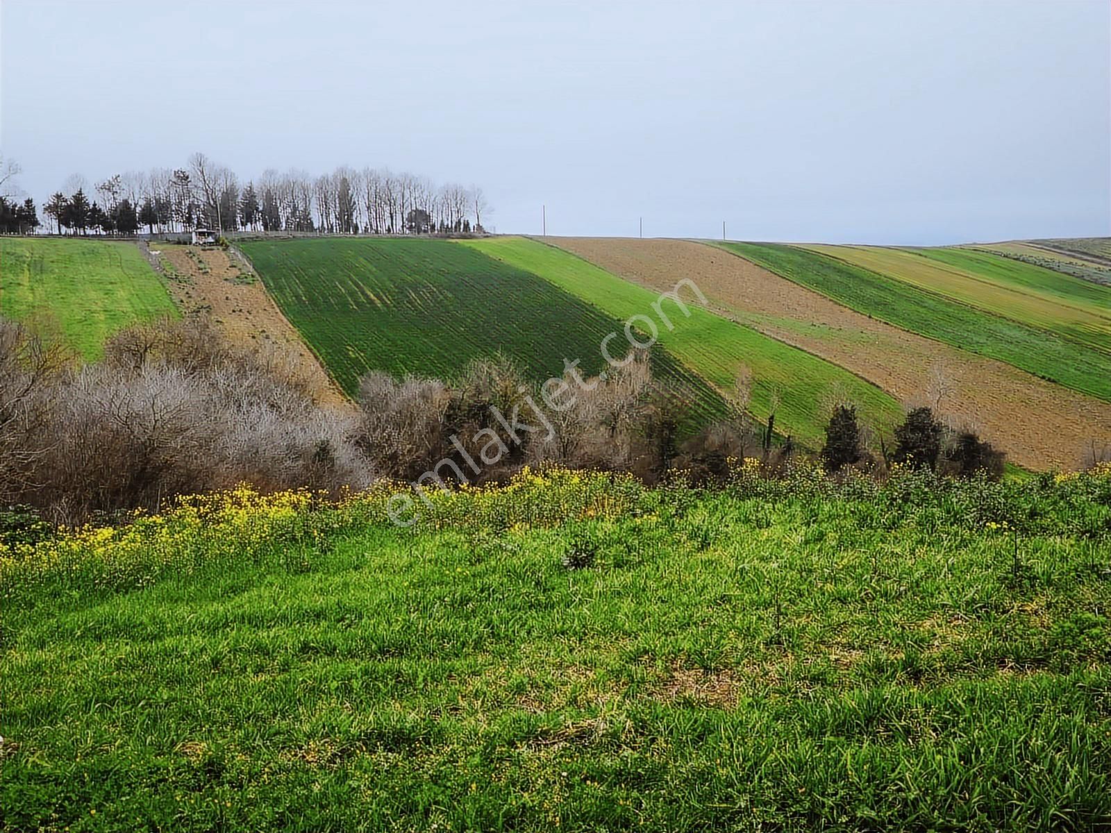 Kocaeli Derince Geredeli Satılık Yatırımlık Tarla
