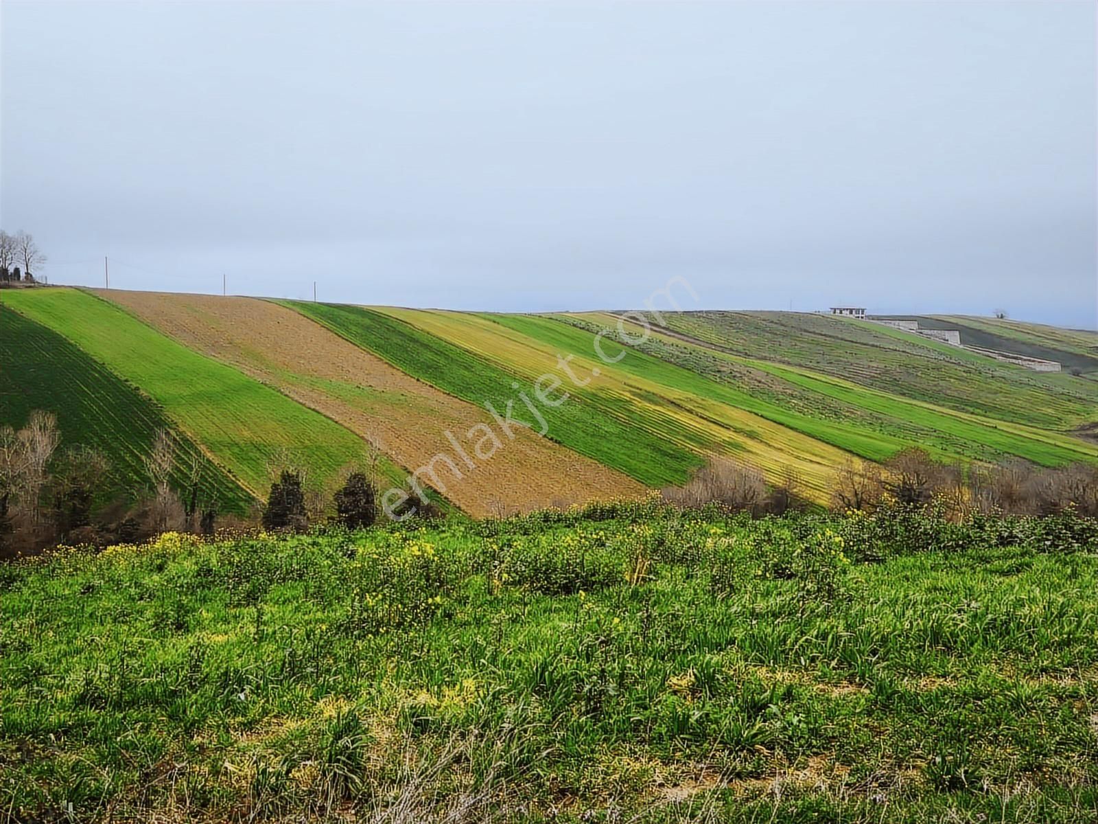 Kocaeli Derince Geredeli Satılık Yatırımlık Tarla - Görsel 24