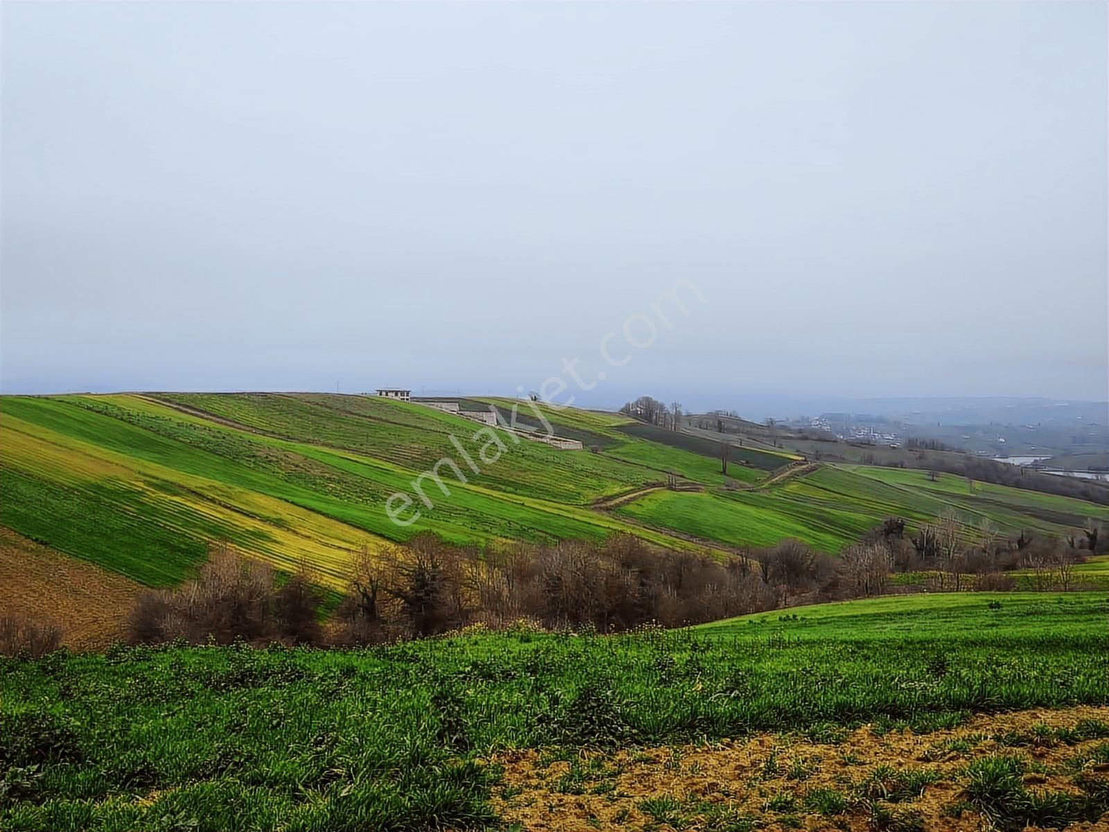 Kocaeli Derince Geredeli Satılık Yatırımlık Tarla - Görsel 26
