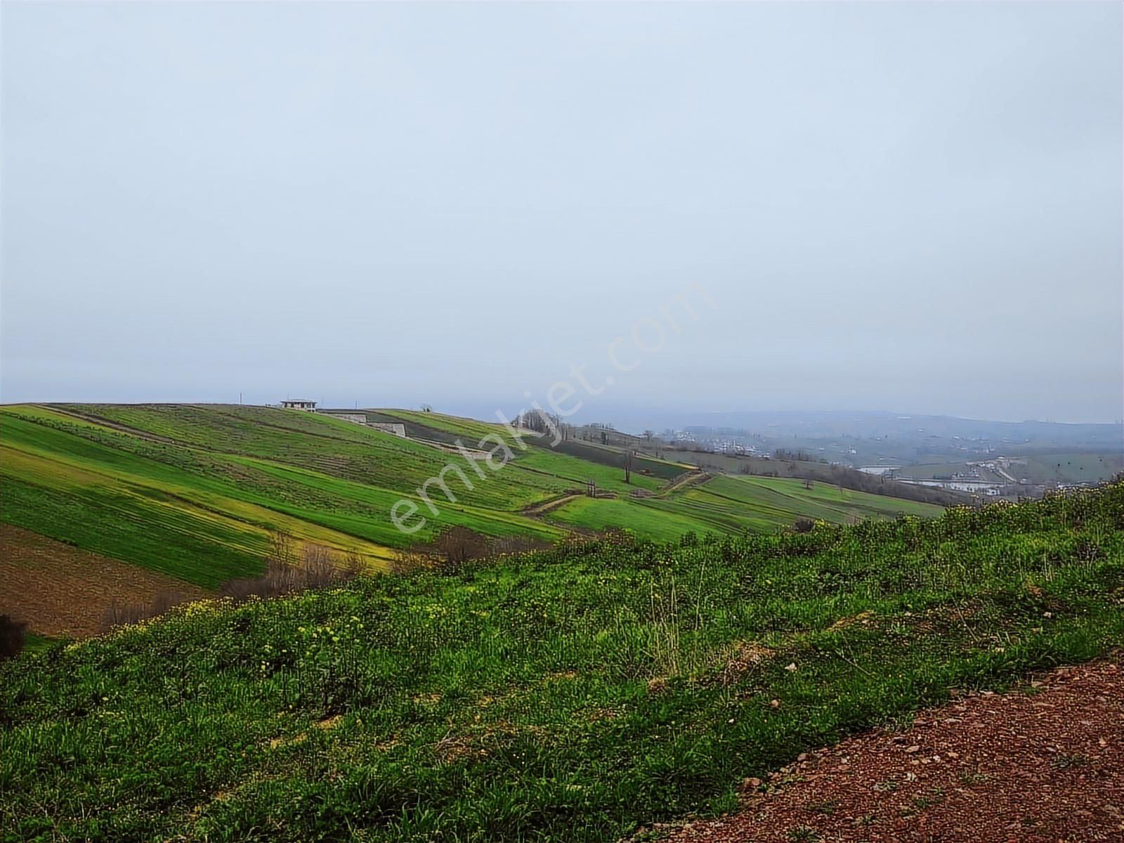 Kocaeli Derince Geredeli Satılık Yatırımlık Tarla - Görsel 33