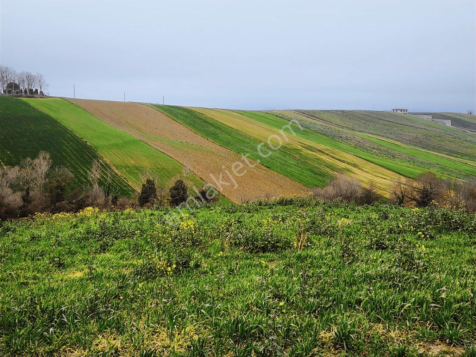 Kocaeli Derince Geredeli Satılık Yatırımlık Tarla - Görsel 25