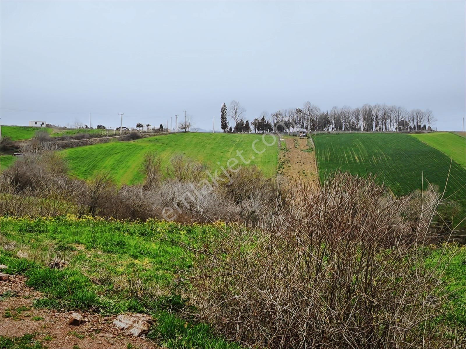 Kocaeli Derince Geredeli Satılık Yatırımlık Tarla - Görsel 21