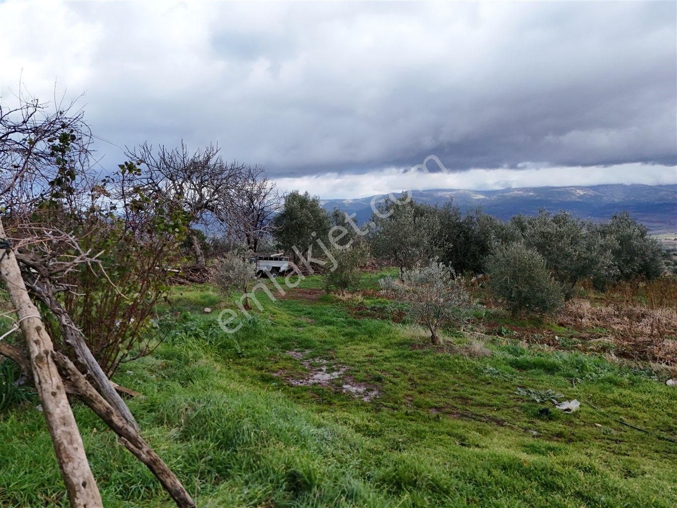 Fırsat İlan..! Satılık %40 İmarlı 2.587 M² Arsa+2 Ev - Görsel 26