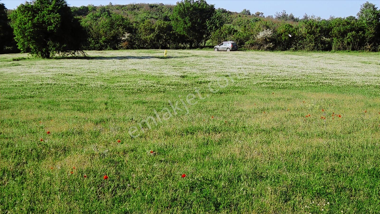 Doğa Severlere Bursa Nilüfer Kayapa Da 1925 M2 Fırsat Arazi - Görsel 17