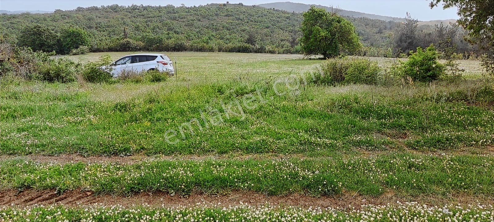 Doğa Severlere Bursa Nilüfer Kayapa Da 1925 M2 Fırsat Arazi - Görsel 24