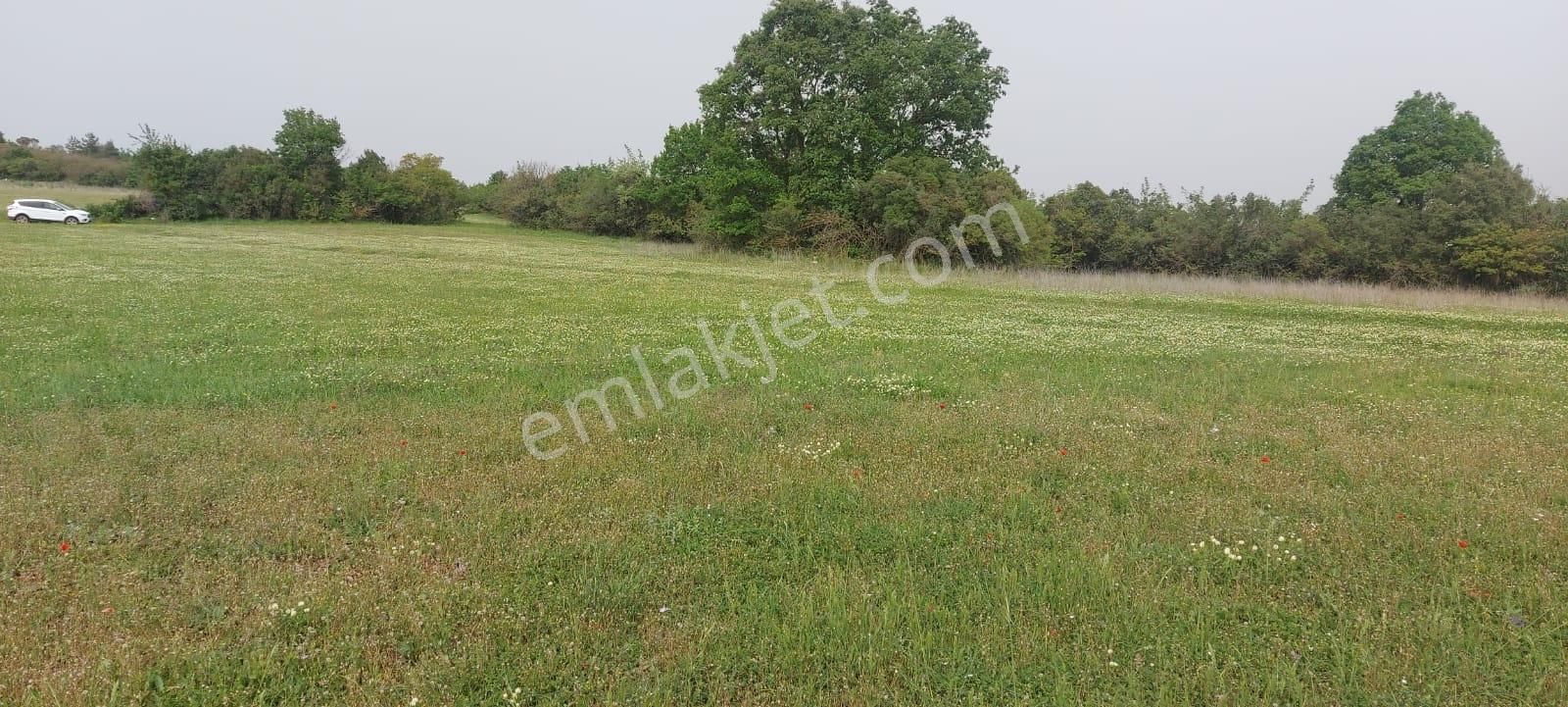 Doğa Severlere Bursa Nilüfer Kayapa Da 1925 M2 Fırsat Arazi - Görsel 23