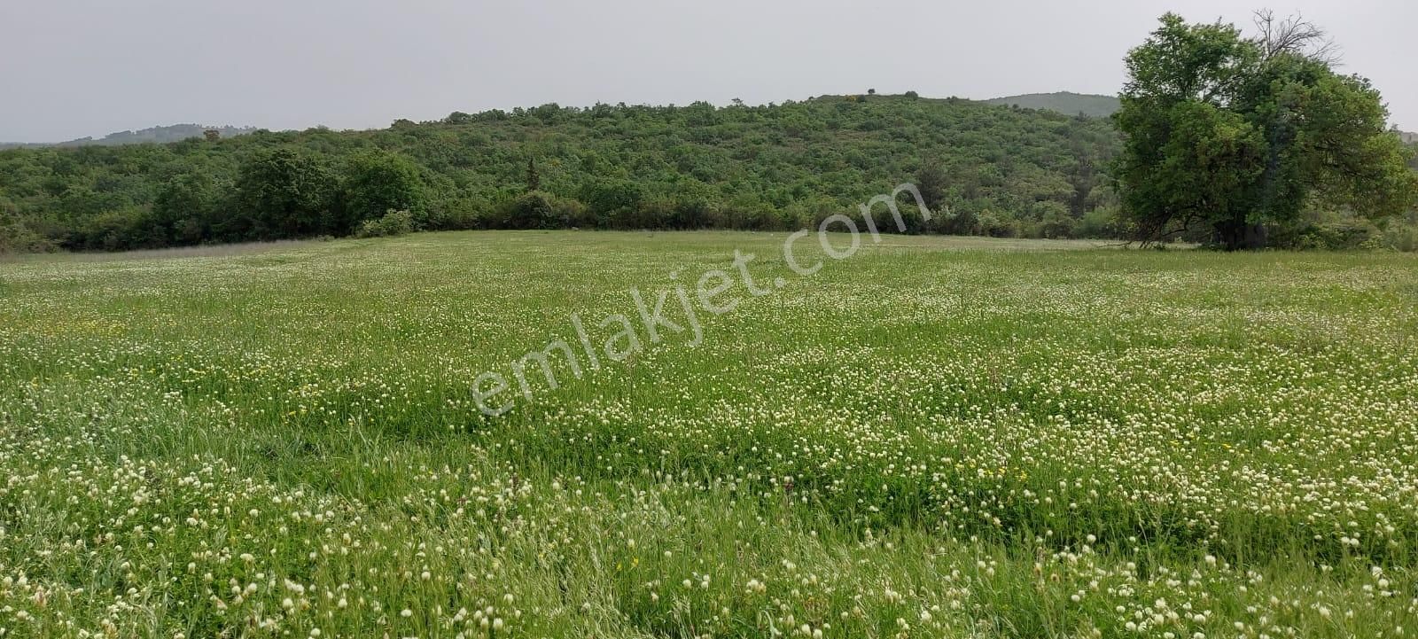 Doğa Severlere Bursa Nilüfer Kayapa Da 1925 M2 Fırsat Arazi - Görsel 26