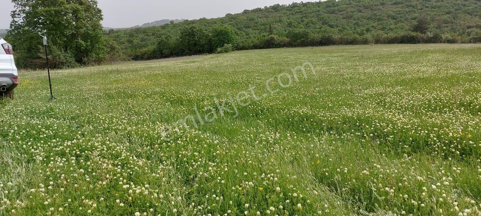 Doğa Severlere Bursa Nilüfer Kayapa Da 1925 M2 Fırsat Arazi - Görsel 22