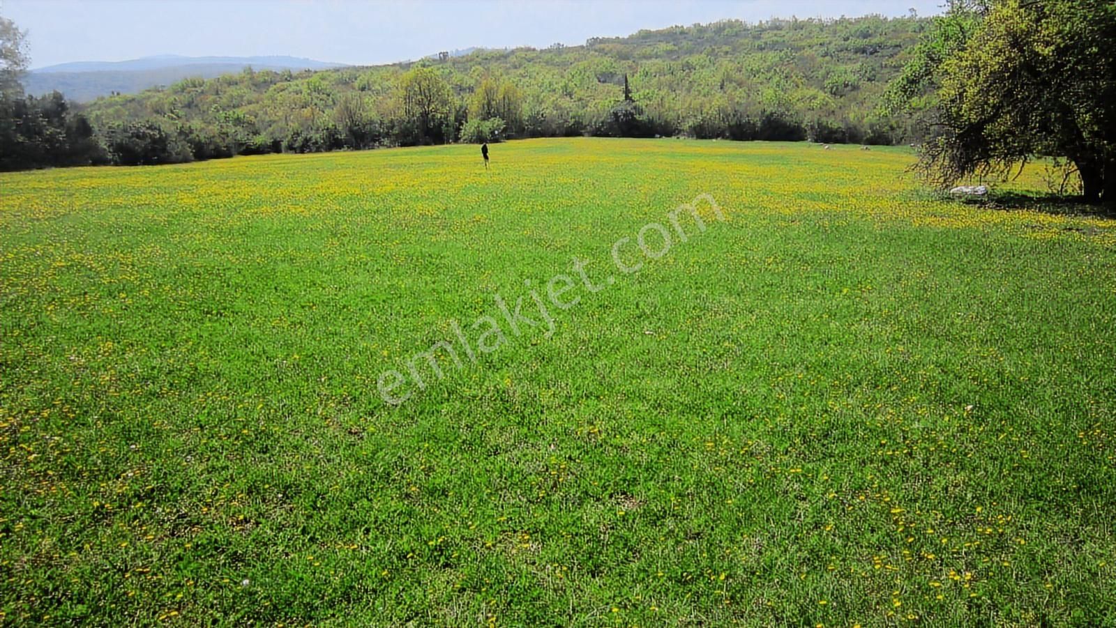 Doğa Severlere Bursa Nilüfer Kayapa Da 1925 M2 Fırsat Arazi - Görsel 7