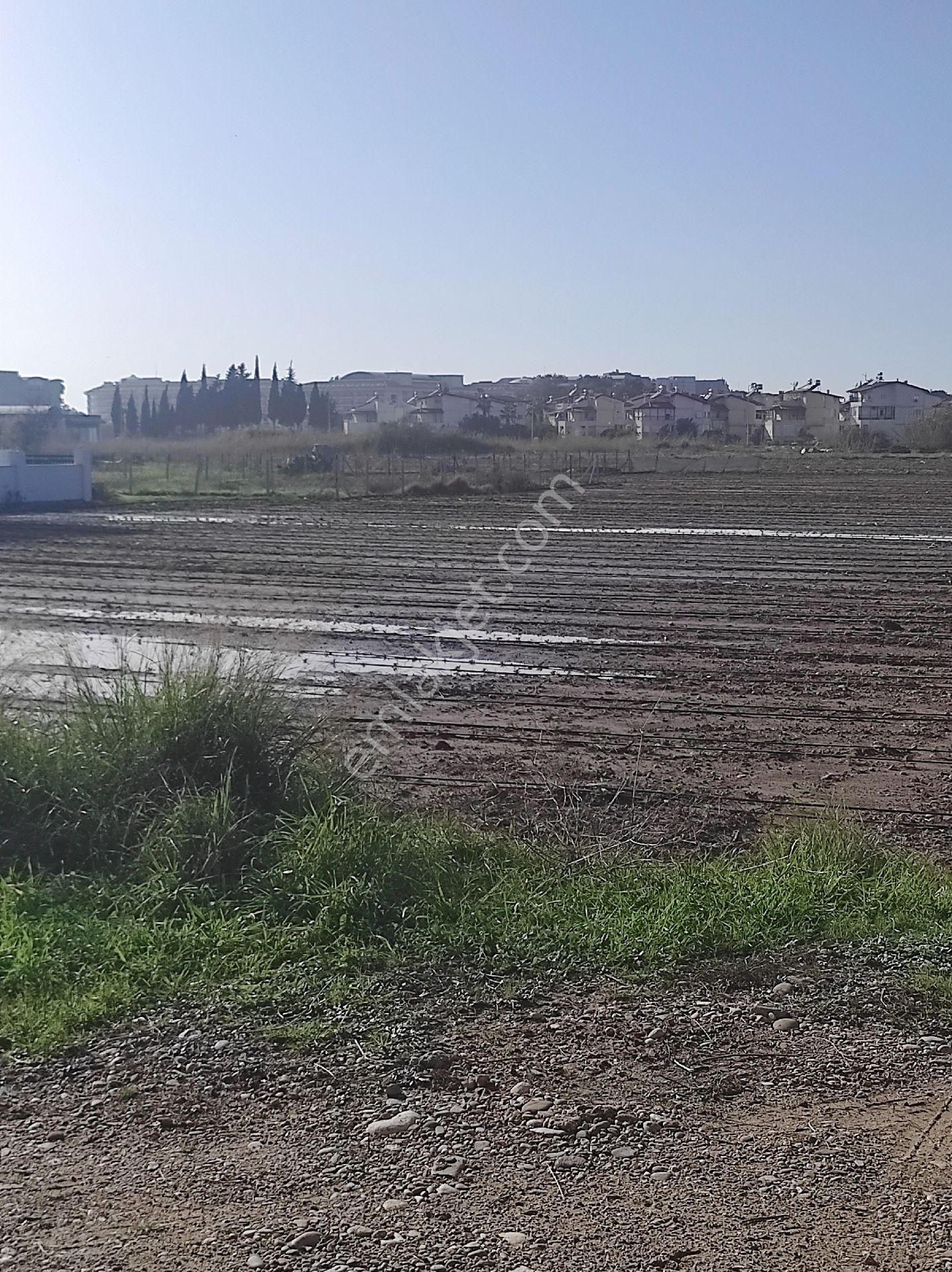 💯💯denize 350 M Mesafesinde Satılık Villa Arsası - Görsel 9