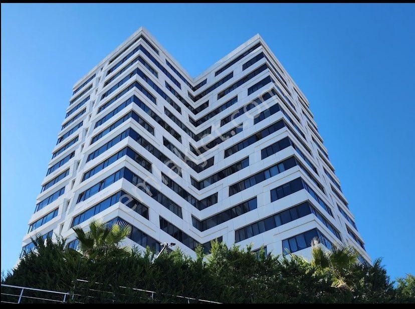 Boş,deniz Gören,global’dan Acil Satılık