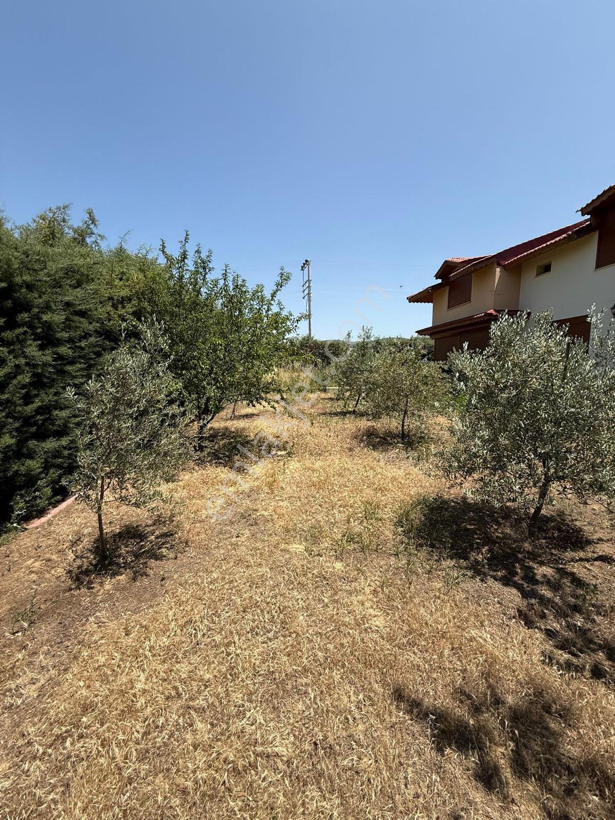 🏡davutlar Mahallesi 🏡villa ✅720 M2 Arsa İçerinde 3+1 260m2 2 Katlı Müstakil Villa - Görsel 15