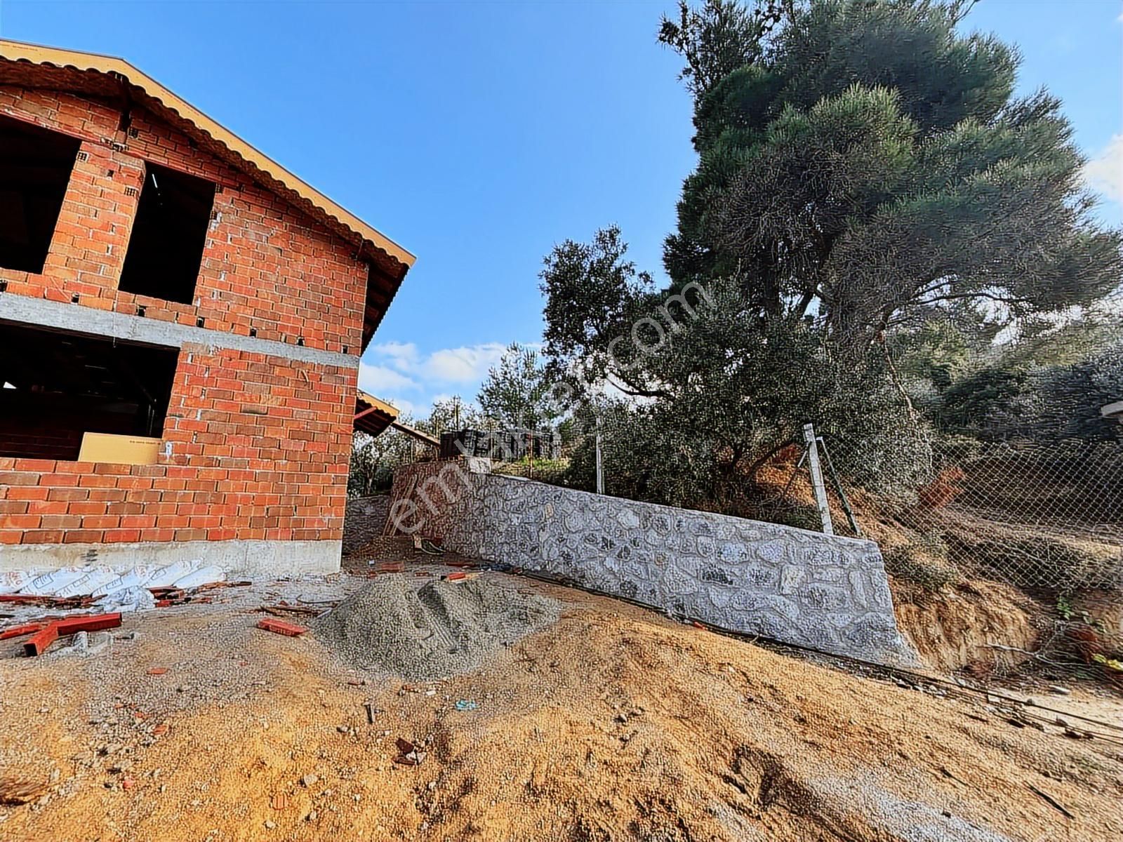 Kemalpaşa Aşağı Kızılca Tek Tapu Zeytinlik - Görsel 2