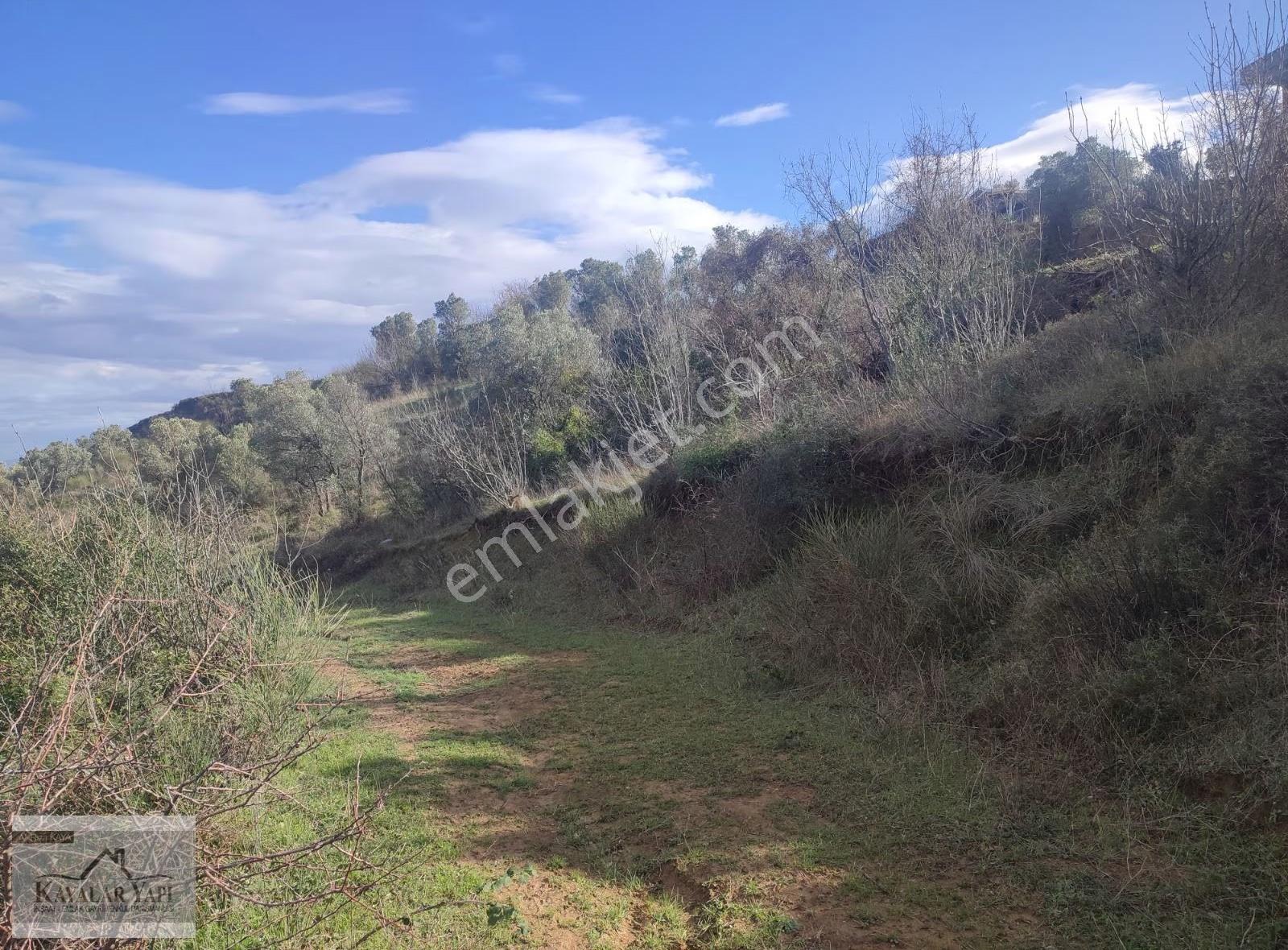 Esenköy Engere De Full Manzaralı Satılık Arsa - Görsel 14