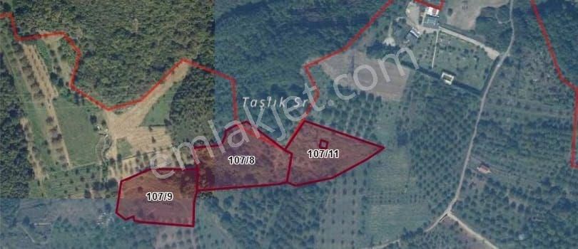 Altın Emlak'tan Kartepe'de Sapanca Gölü Manzaralı Yatırım Değeri Yüksek Tarla - Görsel 5