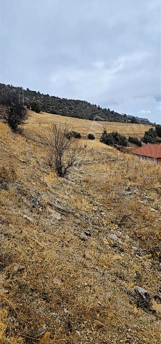 B&f Emlaktan Güzle De Yola Sıfır Satılık Tarla - Görsel 2