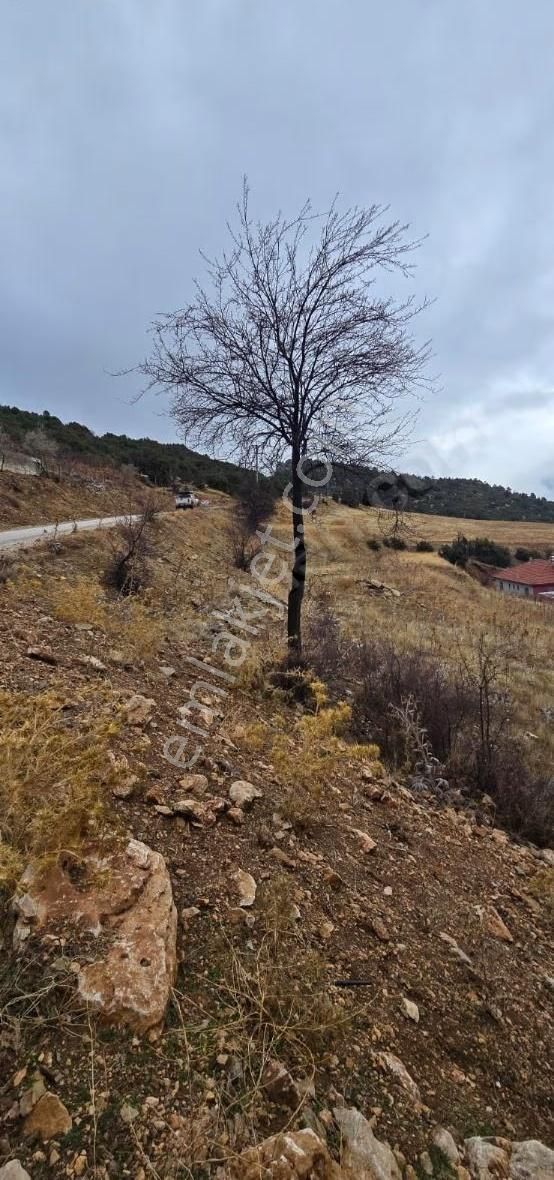 B&f Emlaktan Güzle De Yola Sıfır Satılık Tarla - Görsel 5