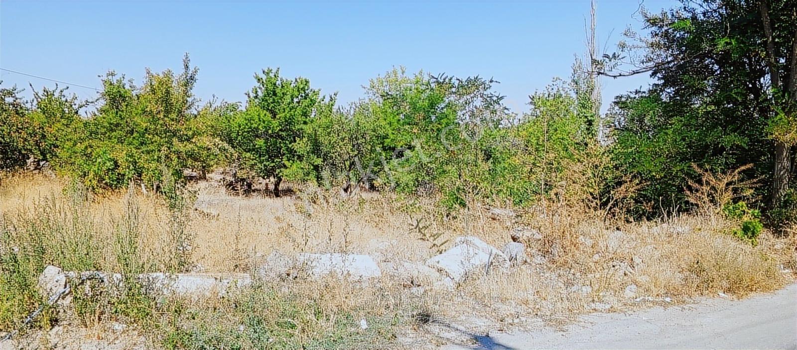 Mazaka Cıty'den Hacılar Kergah Cd Satılık 1205 M2 Villa Parsel - Görsel 9