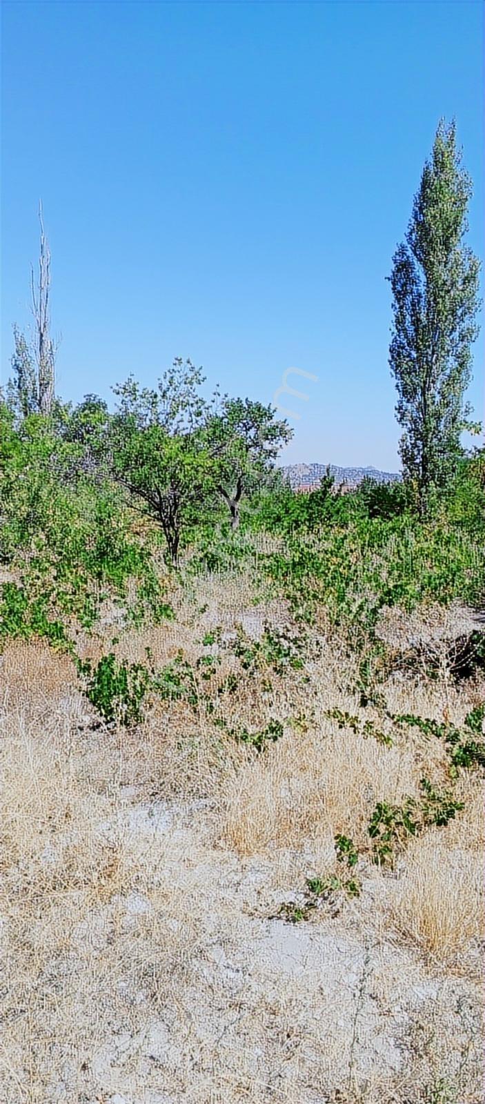 Mazaka Cıty'den Hacılar Kergah Cd Satılık 1205 M2 Villa Parsel - Görsel 6