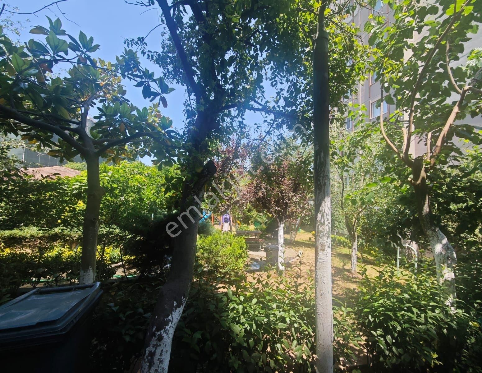 Yenikent Göl Sitesi' Nde Satılık (1+1) Sıfır Eşyalı Daire - Görsel 17