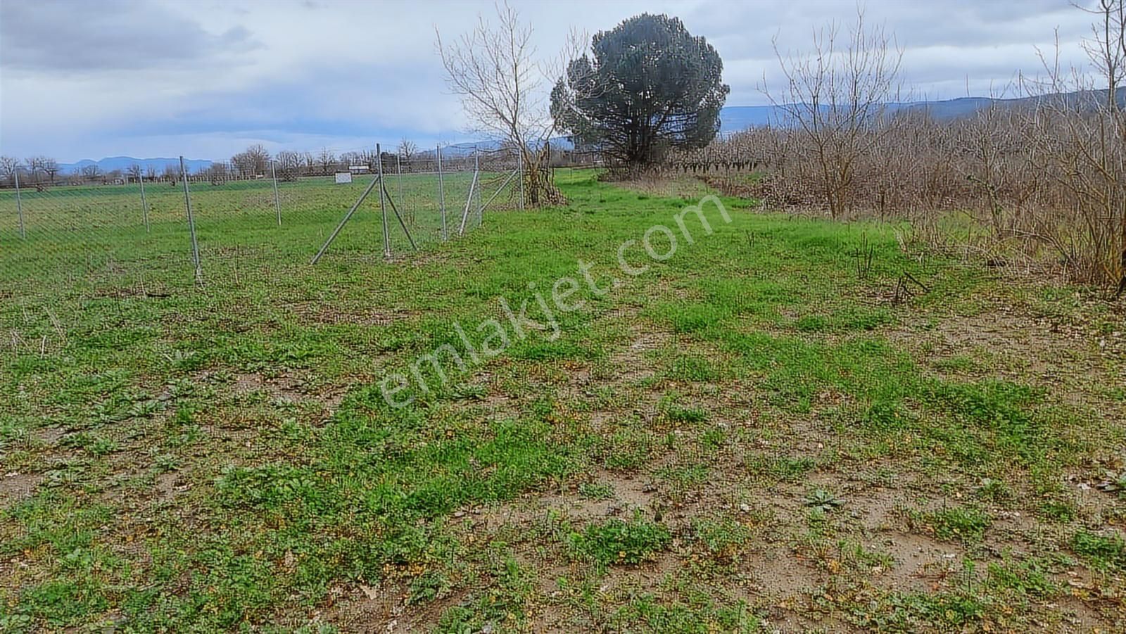 Bursa Nilüfer Kayapa Da 183 M2 Hobi Bahçesi