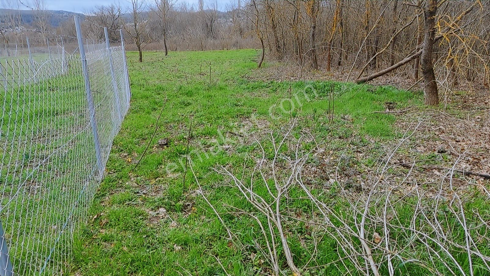 Bursa Nilüfer Kayapa Da 183 M2 Hobi Bahçesi - Görsel 11