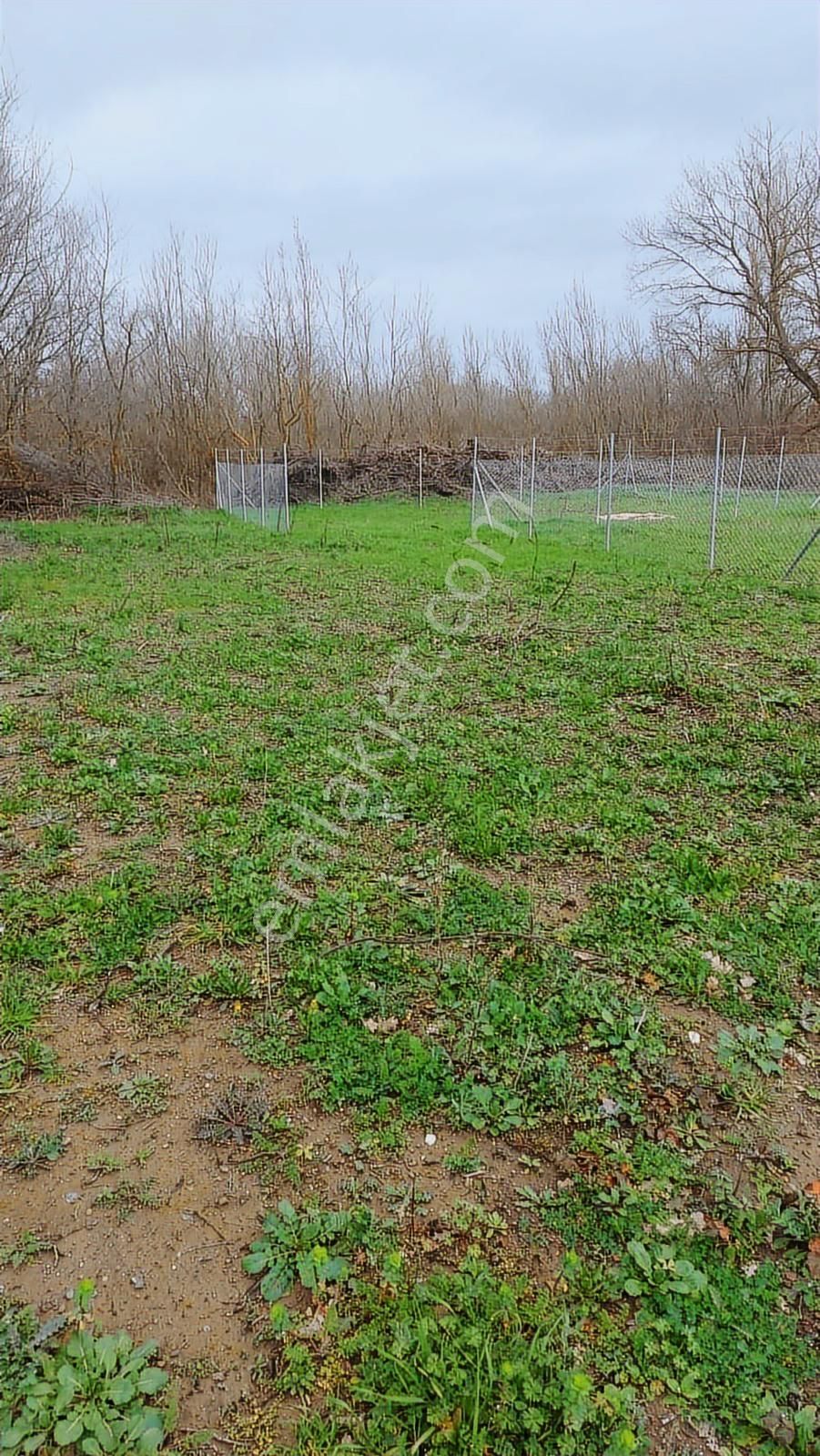 Bursa Nilüfer Kayapa Da 183 M2 Hobi Bahçesi - Görsel 5