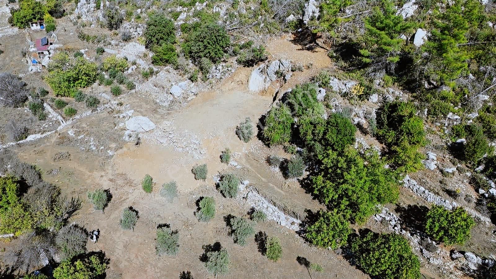 Marvera 'dan Osmaniye Köy İçinde İmarlı Arsa - Görsel 8