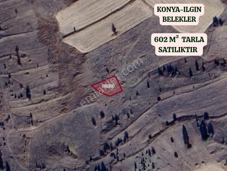 Konya Ilgın Belekler Köyünde 602 M² Tarla Satılıktır - Görsel 2