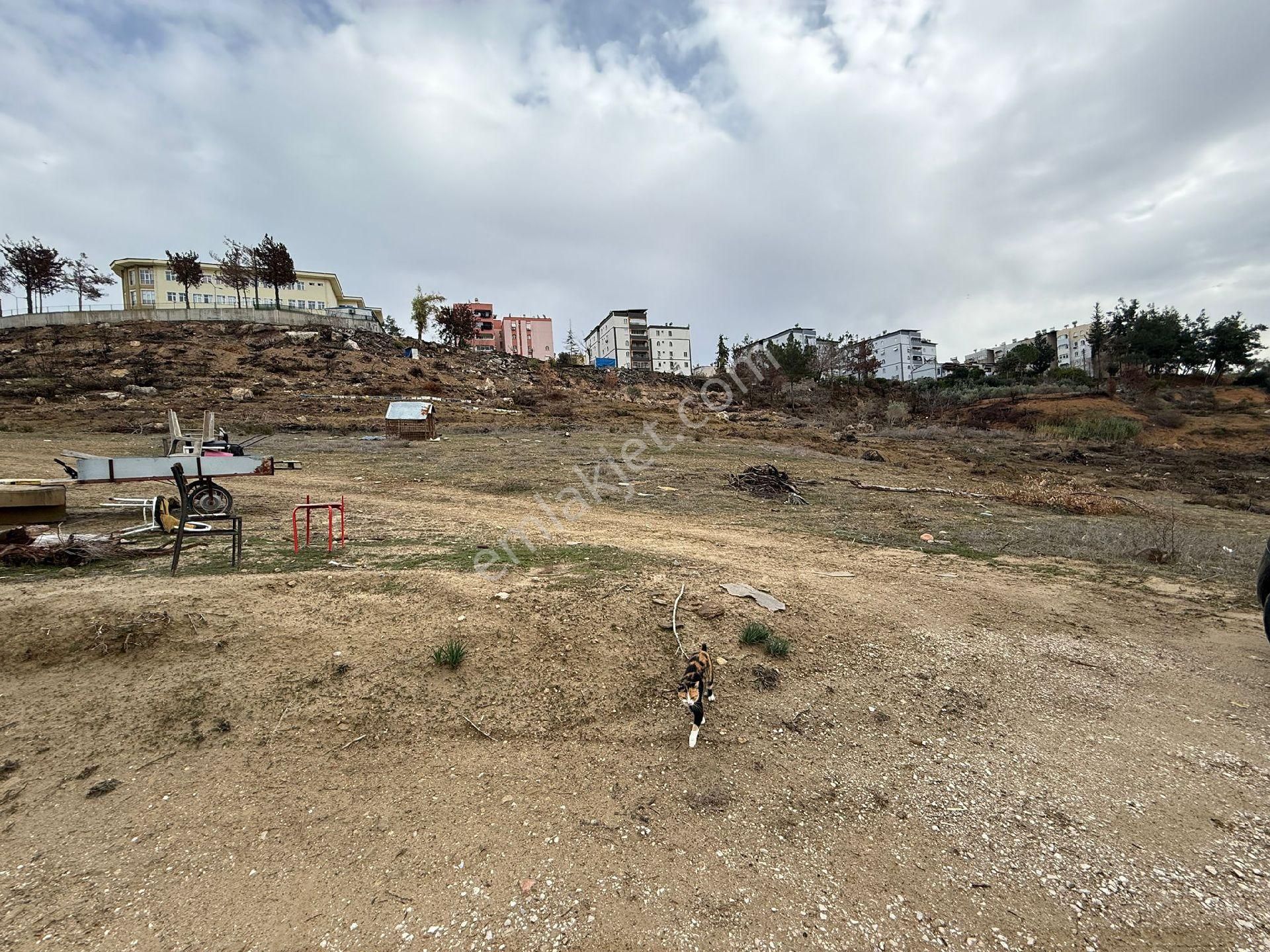 Yüzüncü Yıl Mahallesi'nde Bulvara 2 Parsel Satılık Tek Tapu Arsa - Görsel 2