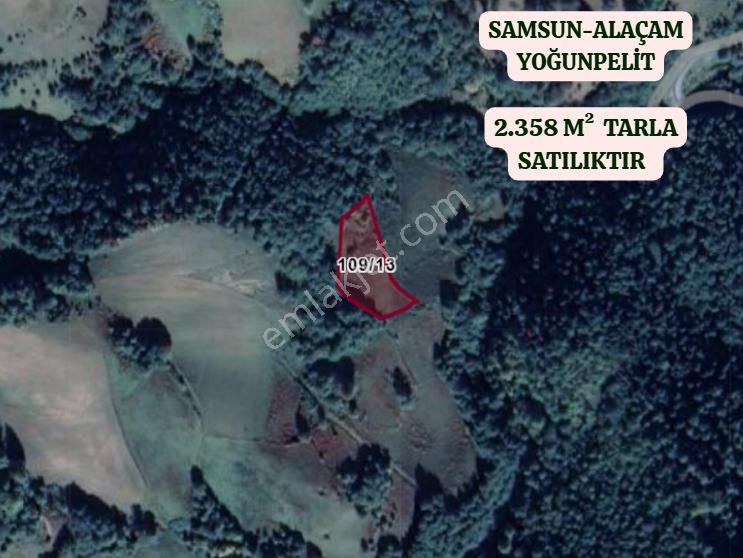 Samsun Alaçam Yoğunpelit Köyünde 2.358 M² Tarla Satılıktır - Görsel 2
