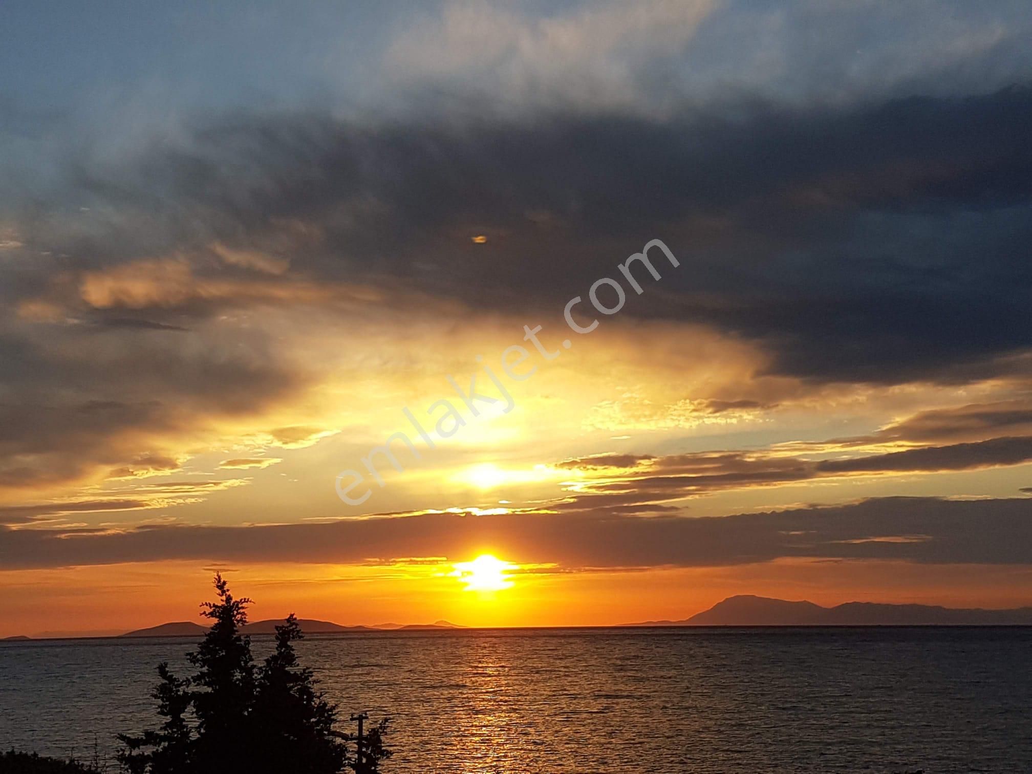 Didim Mavişehir Sedef Koy'da 3+1 Müstakil Deniz Manzaralı Villa - Görsel 37