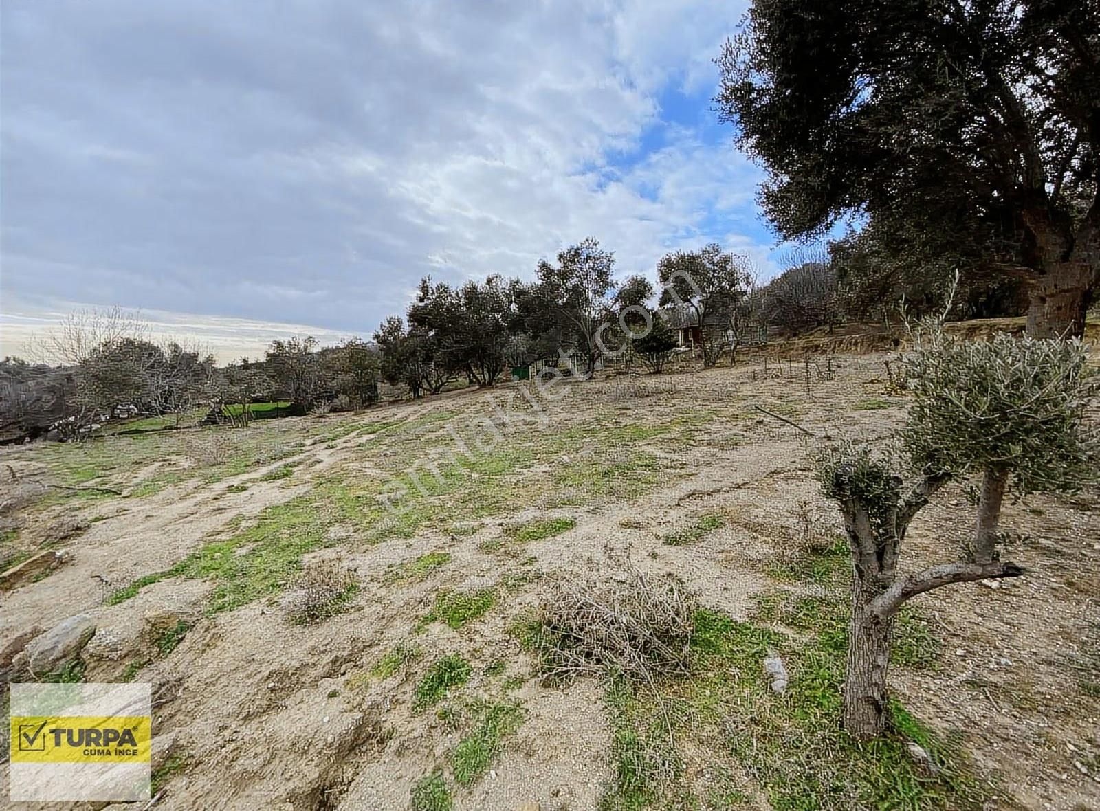 Bornova Beşyol'da Satılık 1280 M2 Arazi - Görsel 6