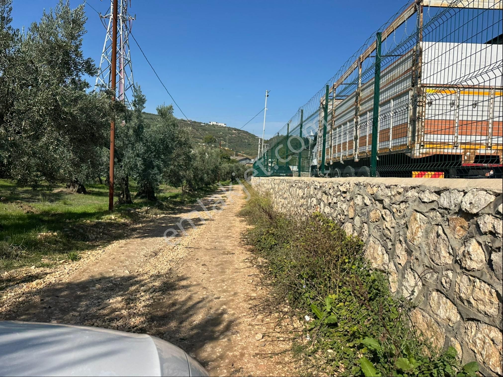 Tırpan Gayrimenkulden Ömerbey Mah.642m2 Kadastro Yoluna Cepheli İmara 250metre Uzaklıkta Zeytinlik - Görsel 3