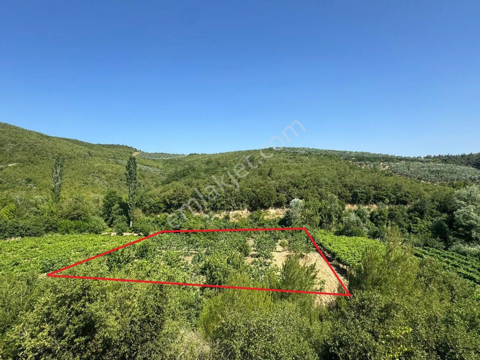 Tırpan Gayrimenkulden Çağrışanda 2700m2 Resmi Villa İmarlı Satılık İncirlik