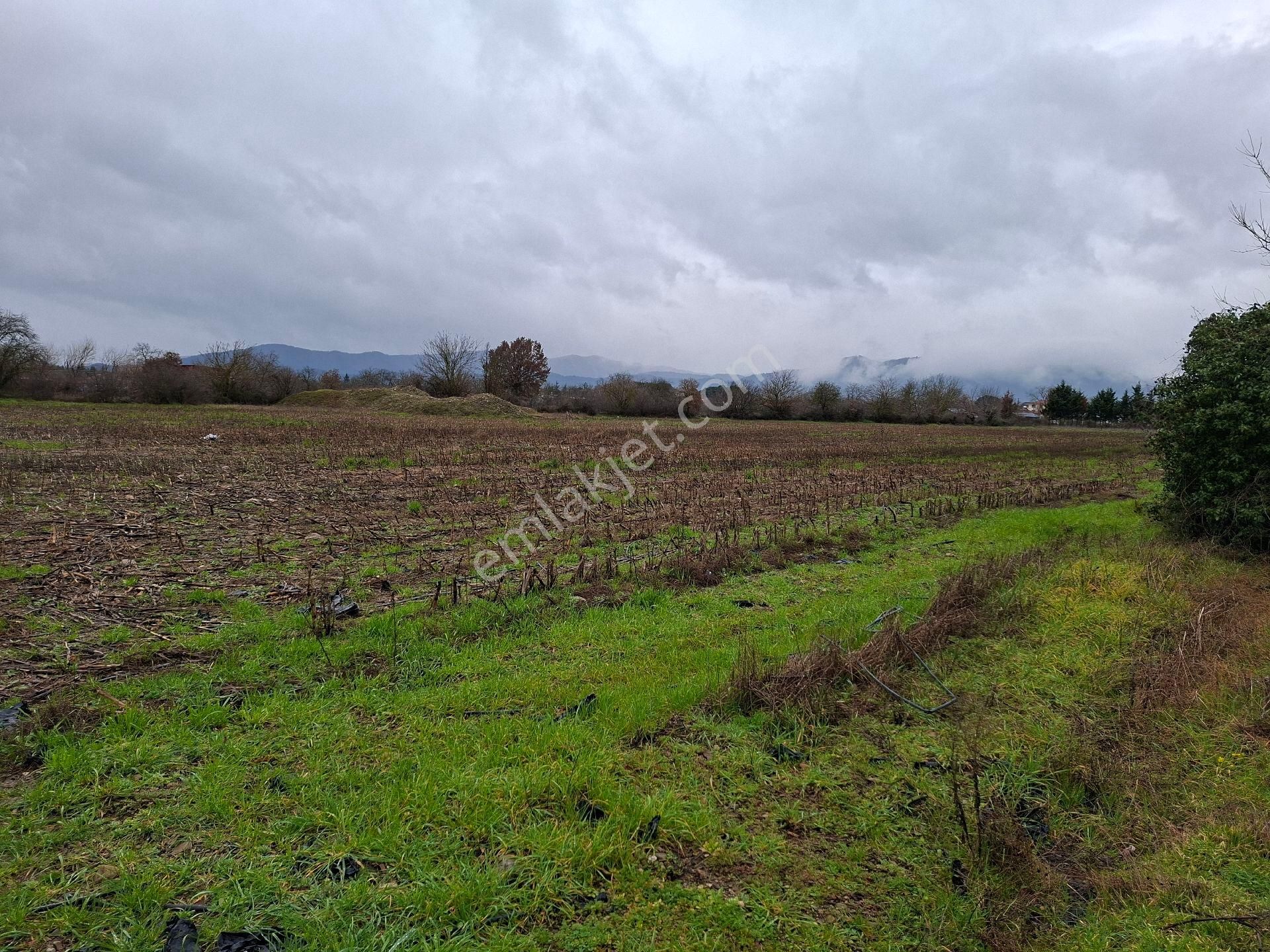 Kazdağları Akçakoyun Tarla - Görsel 4