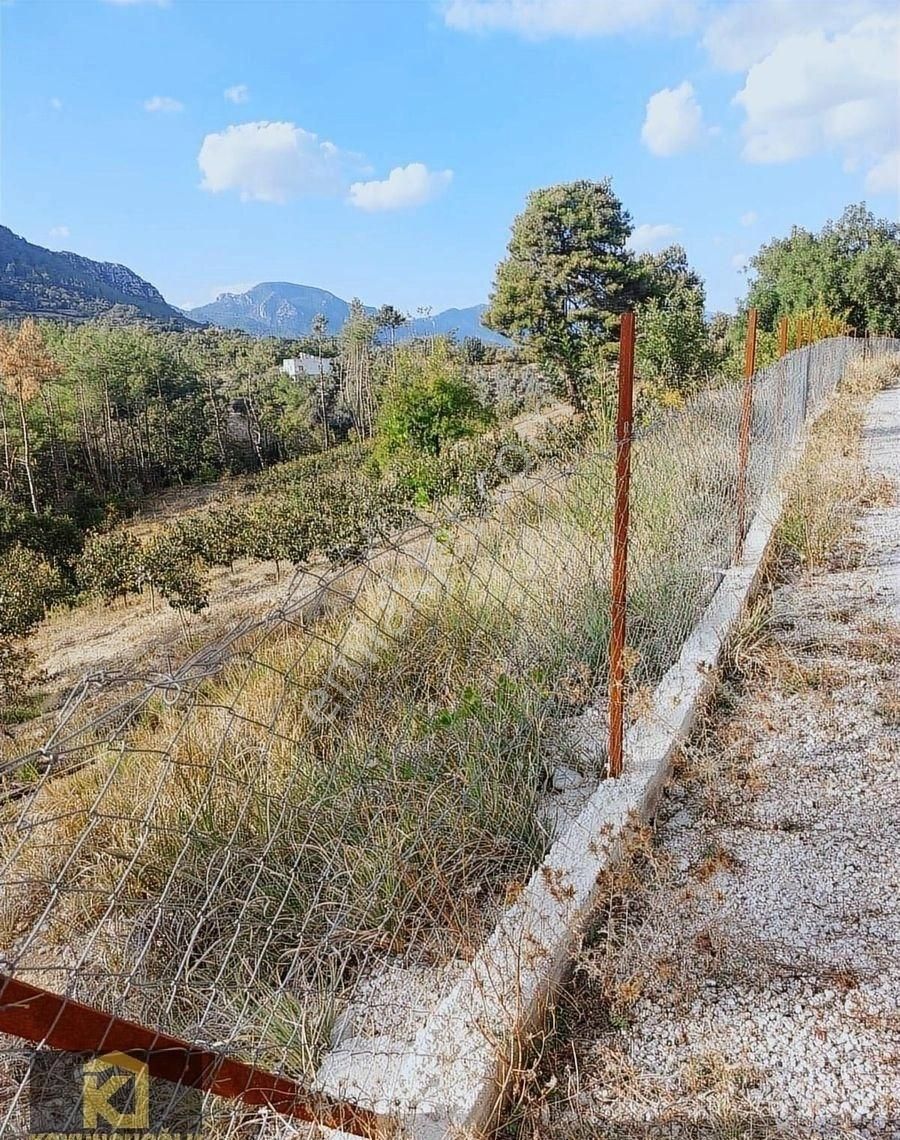 Koyuncuoğlu'ndan Hurma Ve Zeytin Ağaçlı Yatırımlık Bahçe - Görsel 19