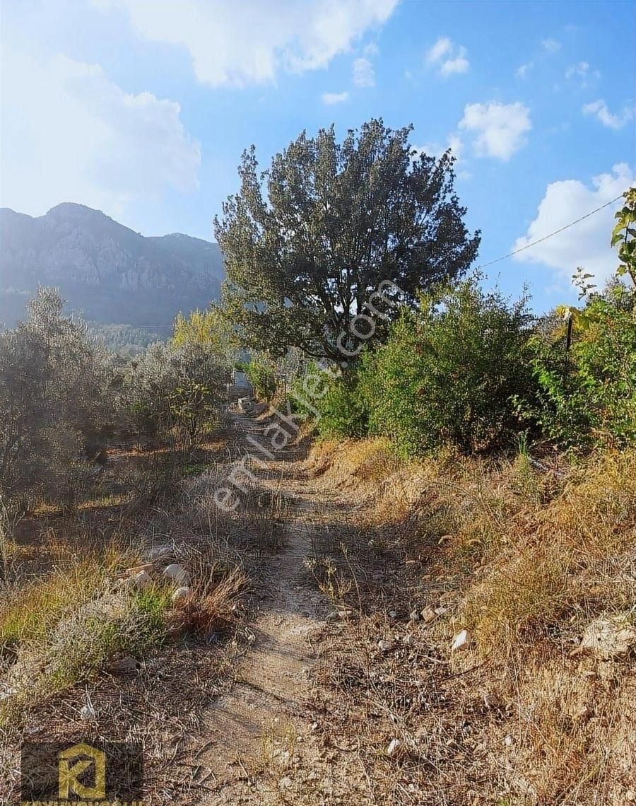 Koyuncuoğlu'ndan Hurma Ve Zeytin Ağaçlı Yatırımlık Bahçe - Görsel 31
