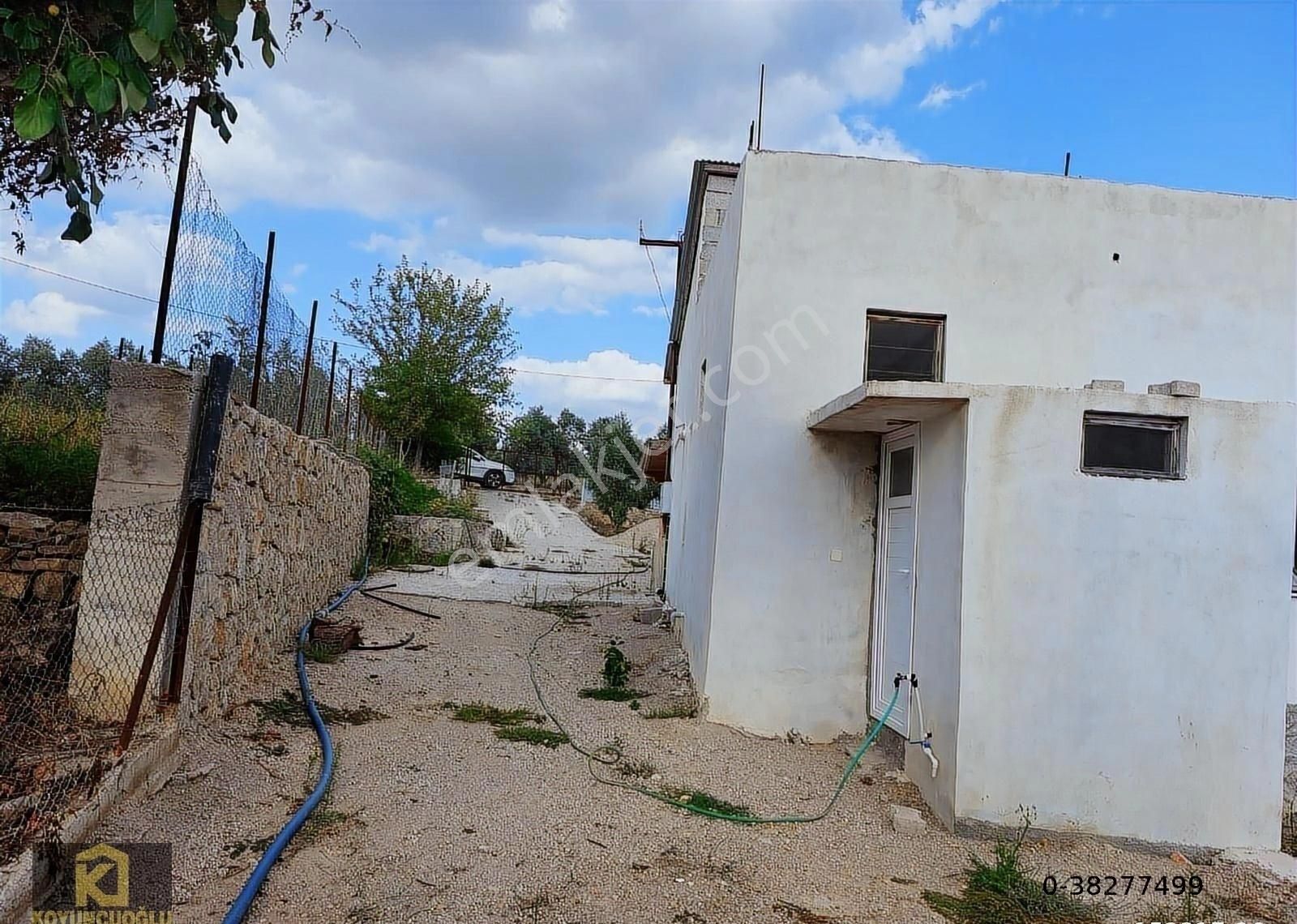 Koyuncuoğlu'ndan Hurma Ve Zeytin Ağaçlı Yatırımlık Bahçe - Görsel 14